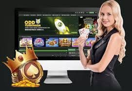 44bet login